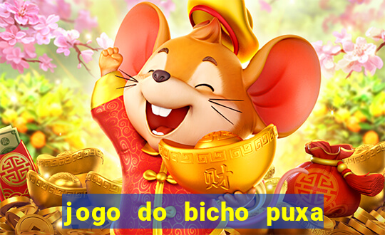 jogo do bicho puxa de dona maria